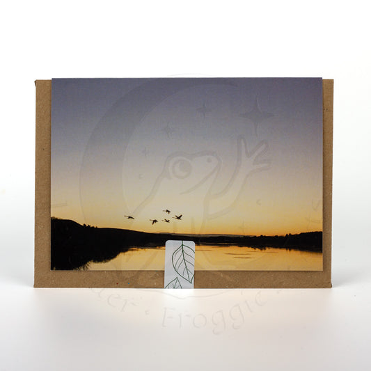 Sunset Swans A6 Landscape Greetings Card