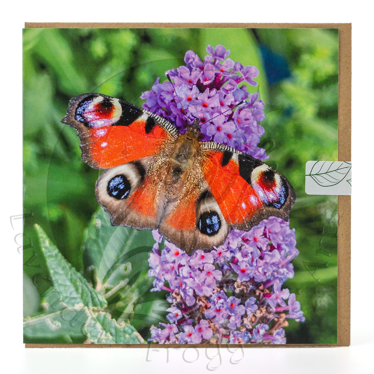 Summer Splendour 15x15cm Square Greetings Card