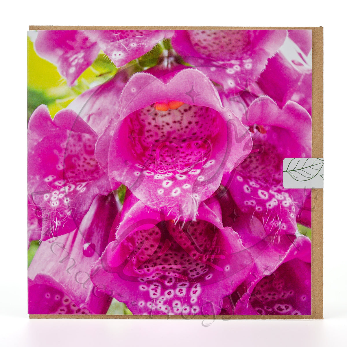 Choir of Foxgloves 15x15cm Square Greetings Card