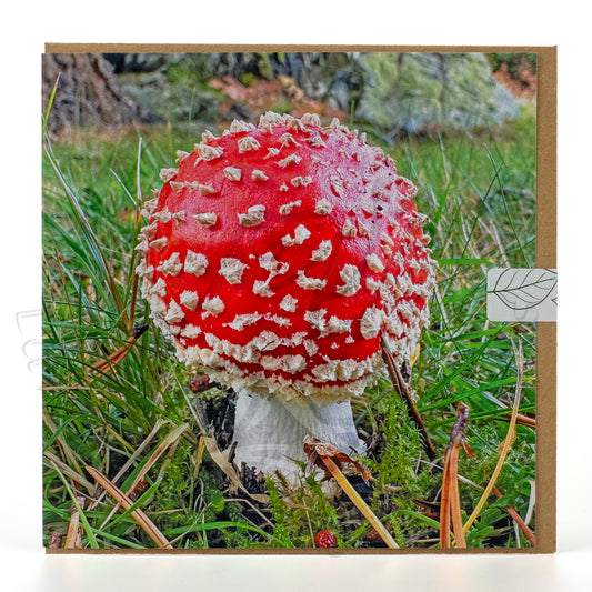 Dangerous Beauty 15x15cm Square Greetings Card