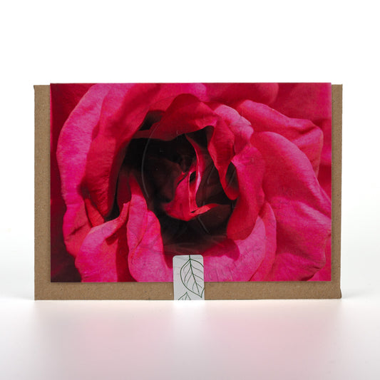 Petal Perfection A6 Landscape Greetings Card