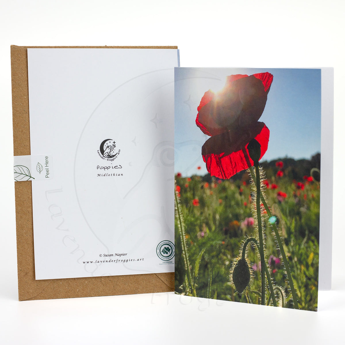 Poppies A6 Portrait Greetings Card