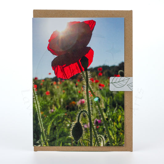 Poppies A6 Portrait Greetings Card